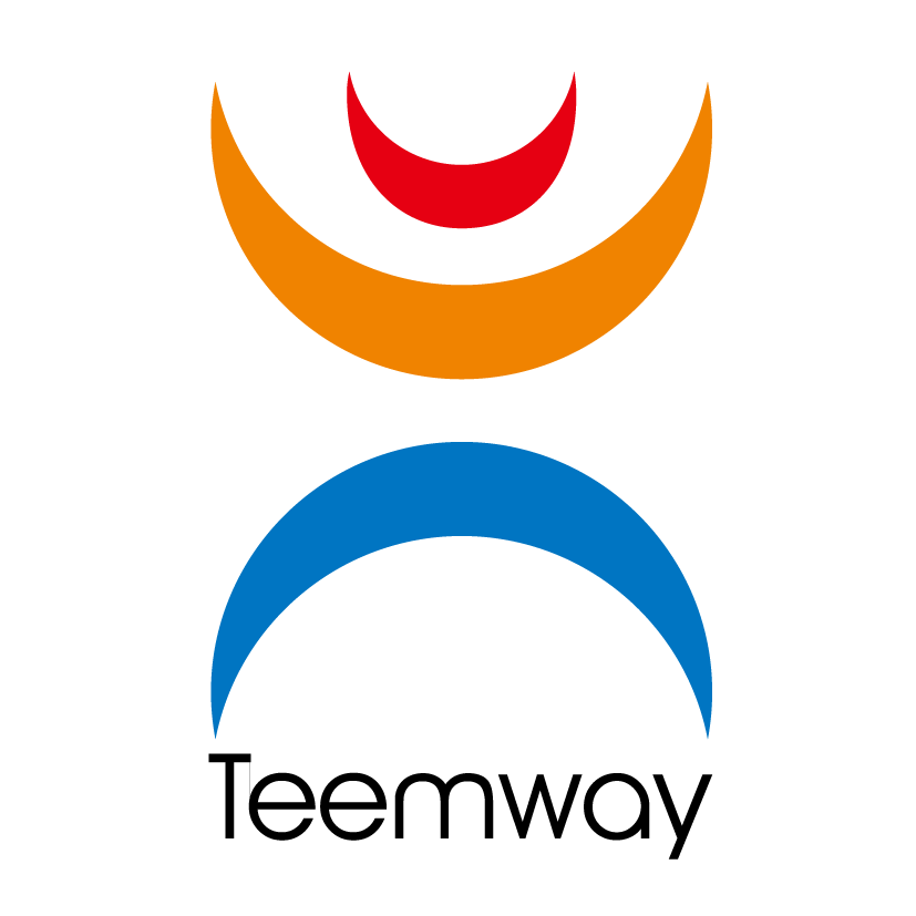 Teemway Group Limited logo